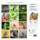 Oiseaux de nos jardins - Calendrier 2025