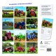 Tracteurs d'antan - Calendrier 2025