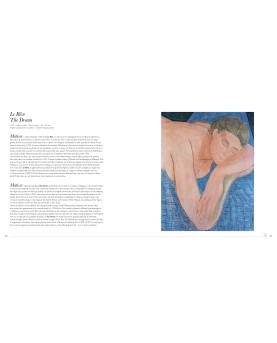 Matisse - livre d'art illustré en français-anglais