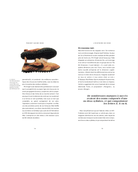 Nike, l'histoire illustrée
