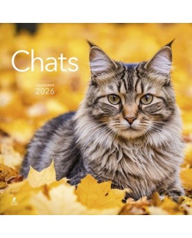 Chats - Calendrier 2026