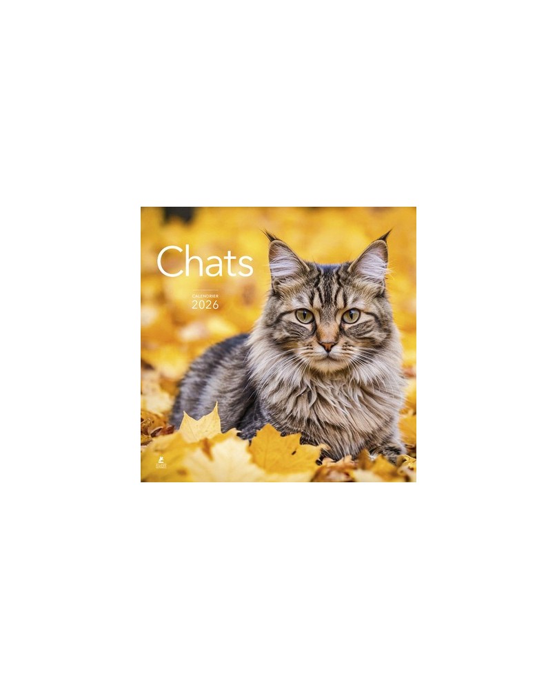 Chats - Calendrier 2026