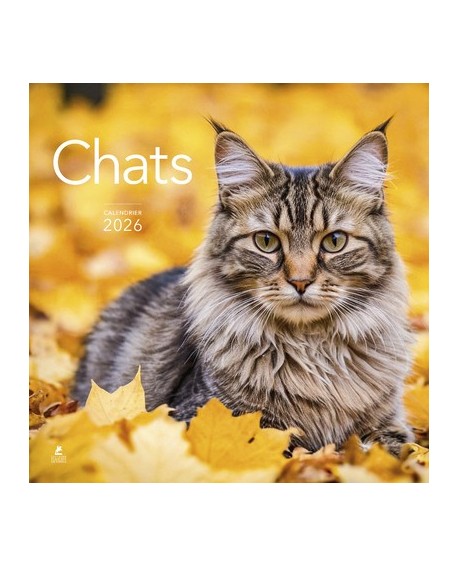 Chats - Calendrier 2026