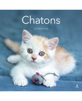 Chatons - Calendrier 2026