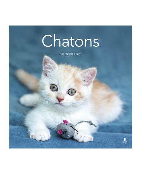 Chatons - Calendrier 2026