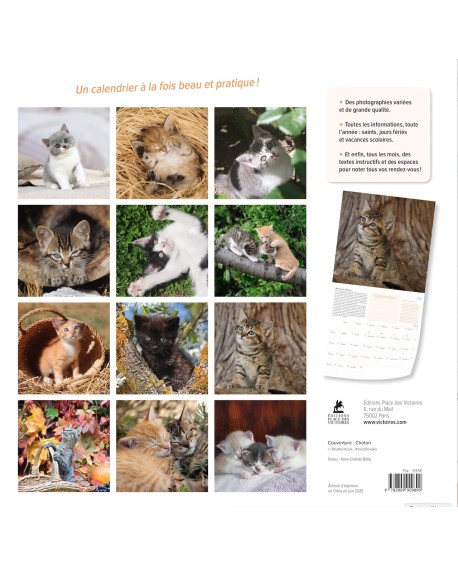 Calendrier Chatons 2026