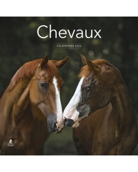 Chevaux - Calendrier 2026