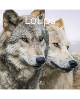 Loups - Calendrier 2026
