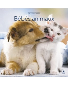 Bébés animaux - Calendrier 2026