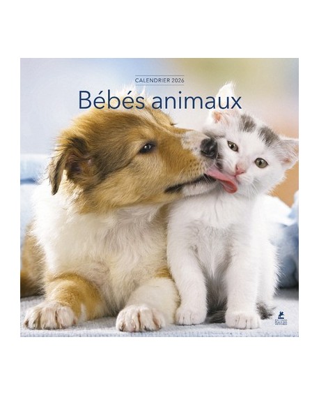 Calendrier bébés animaux 2026