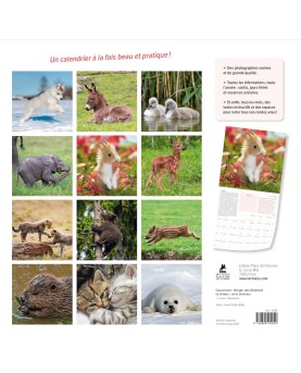 Calendrier bébés animaux 2026