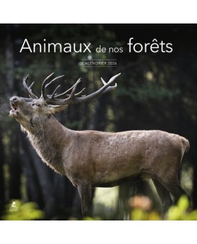 Animaux de nos forêts - Calendrier 2026