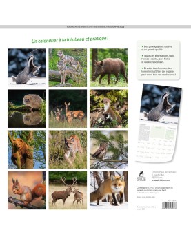 Calendrier Animaux de nos forêts 2026