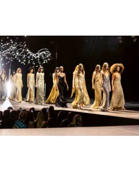 Little Book of Celine - Livre Mode et Luxe