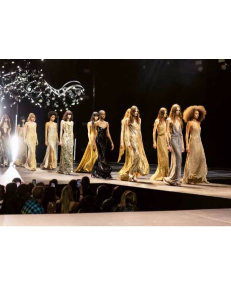 Little Book of Celine - Livre Mode et Luxe