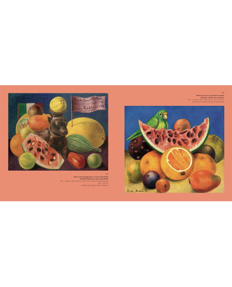 Beau livre d'art illustré sur Frida Kahlo