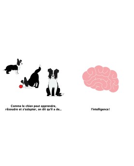 L'intelligence artificielle pour les bébés : découvrir la science dès le plus jeune âge